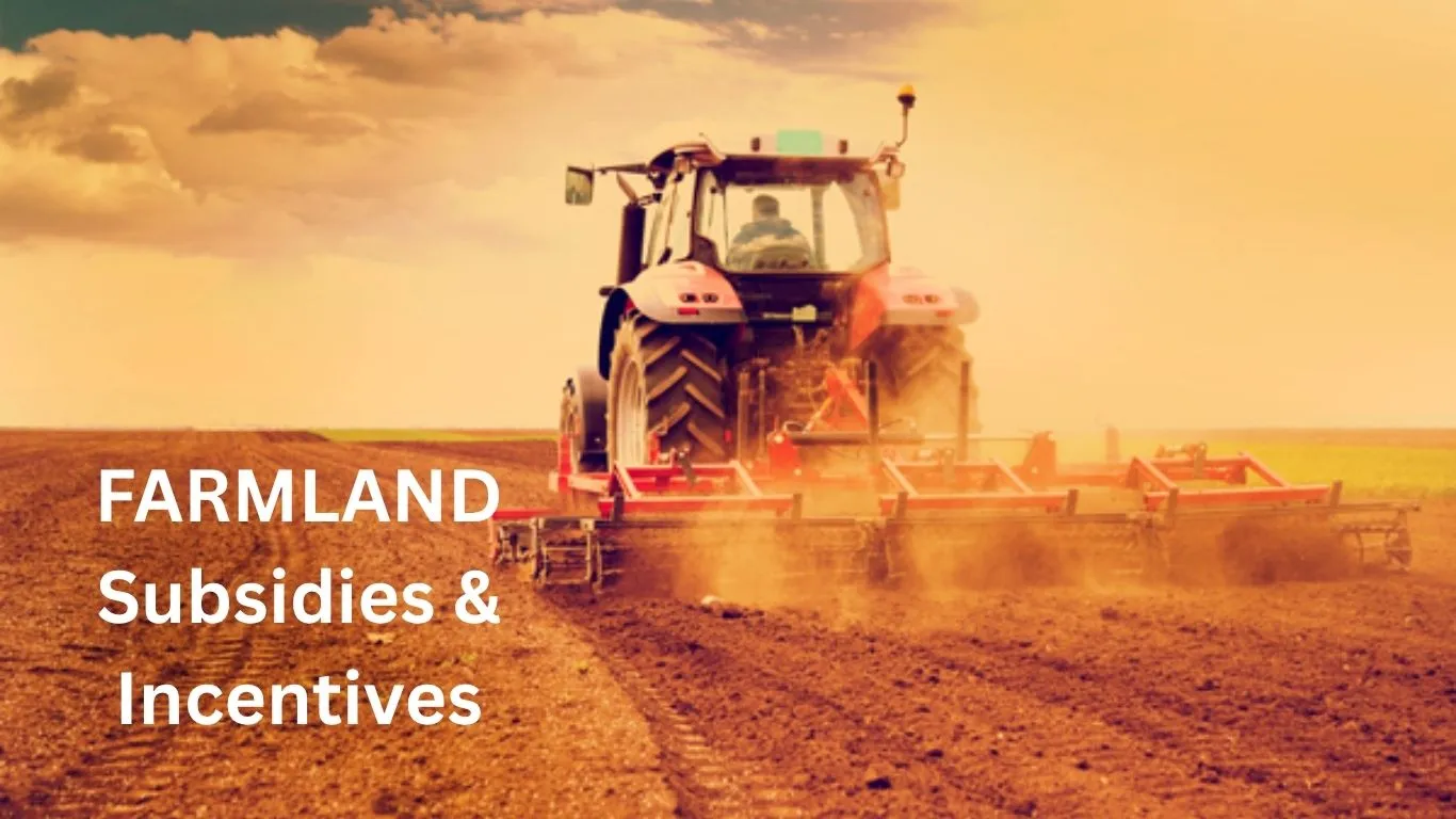 Farmland Subsidies & Incentives