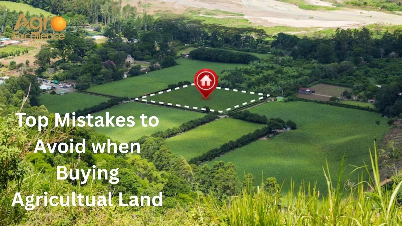Mistakes to avoid when buying agricultural land