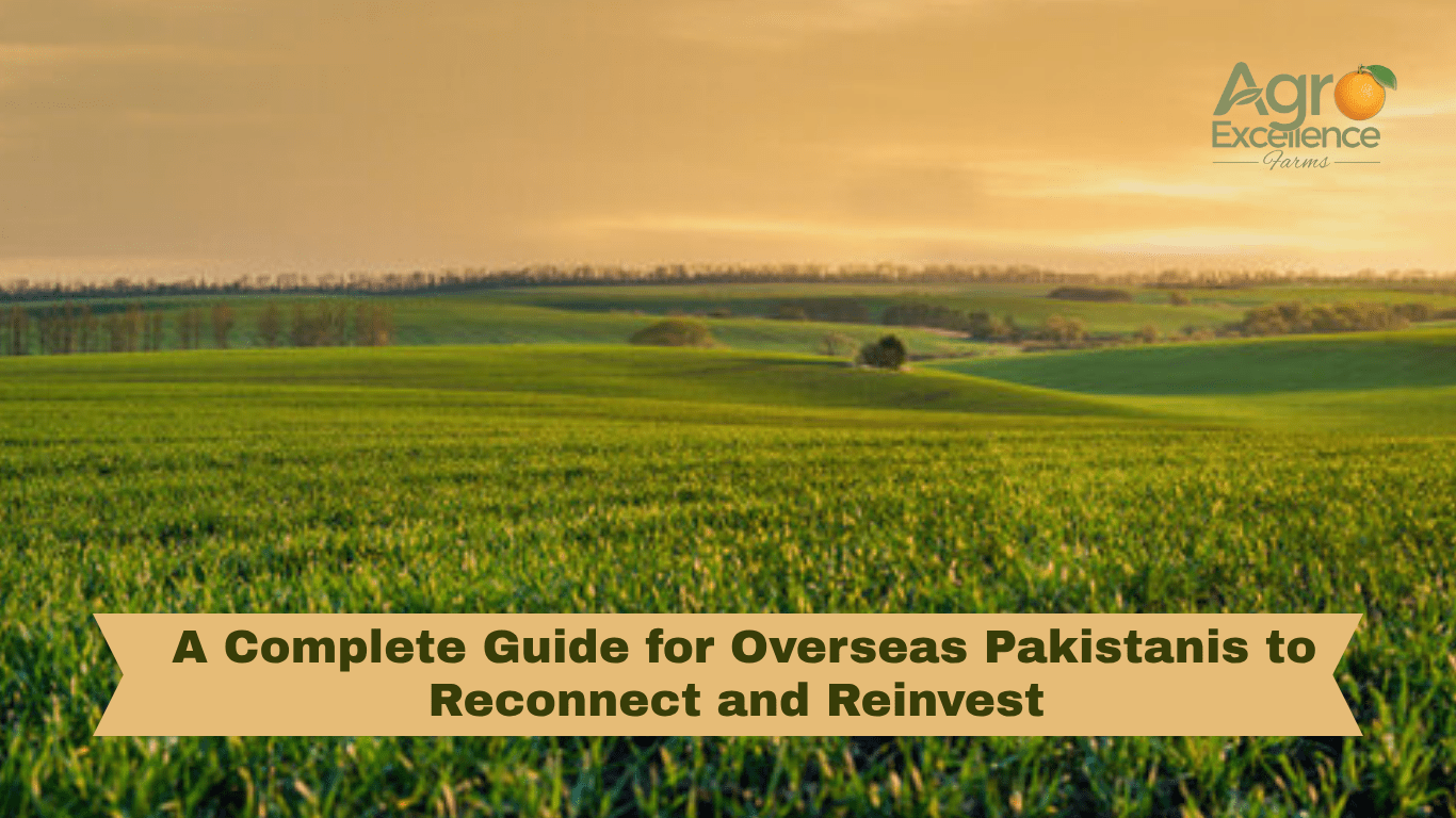 Complete guide for overseas Pakistanis to invest in land.