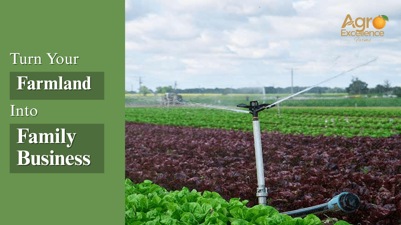 Farmland into Family Business