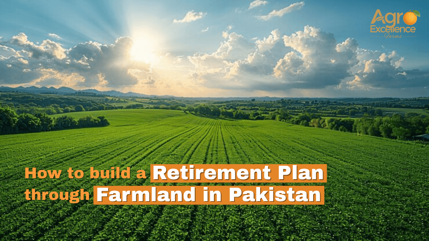 Retirement Plan Through Farmland in Pakistan