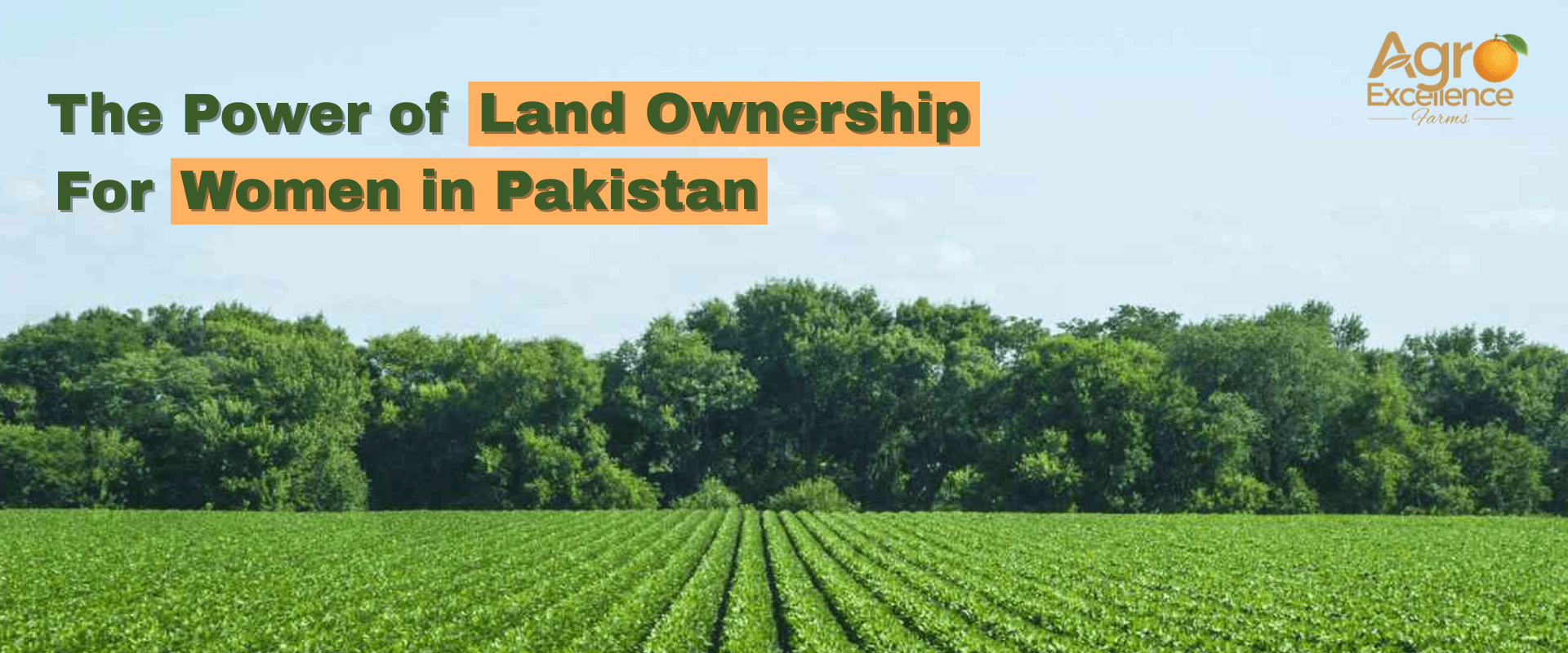 The Power of Land Ownership for Women in Pakistan