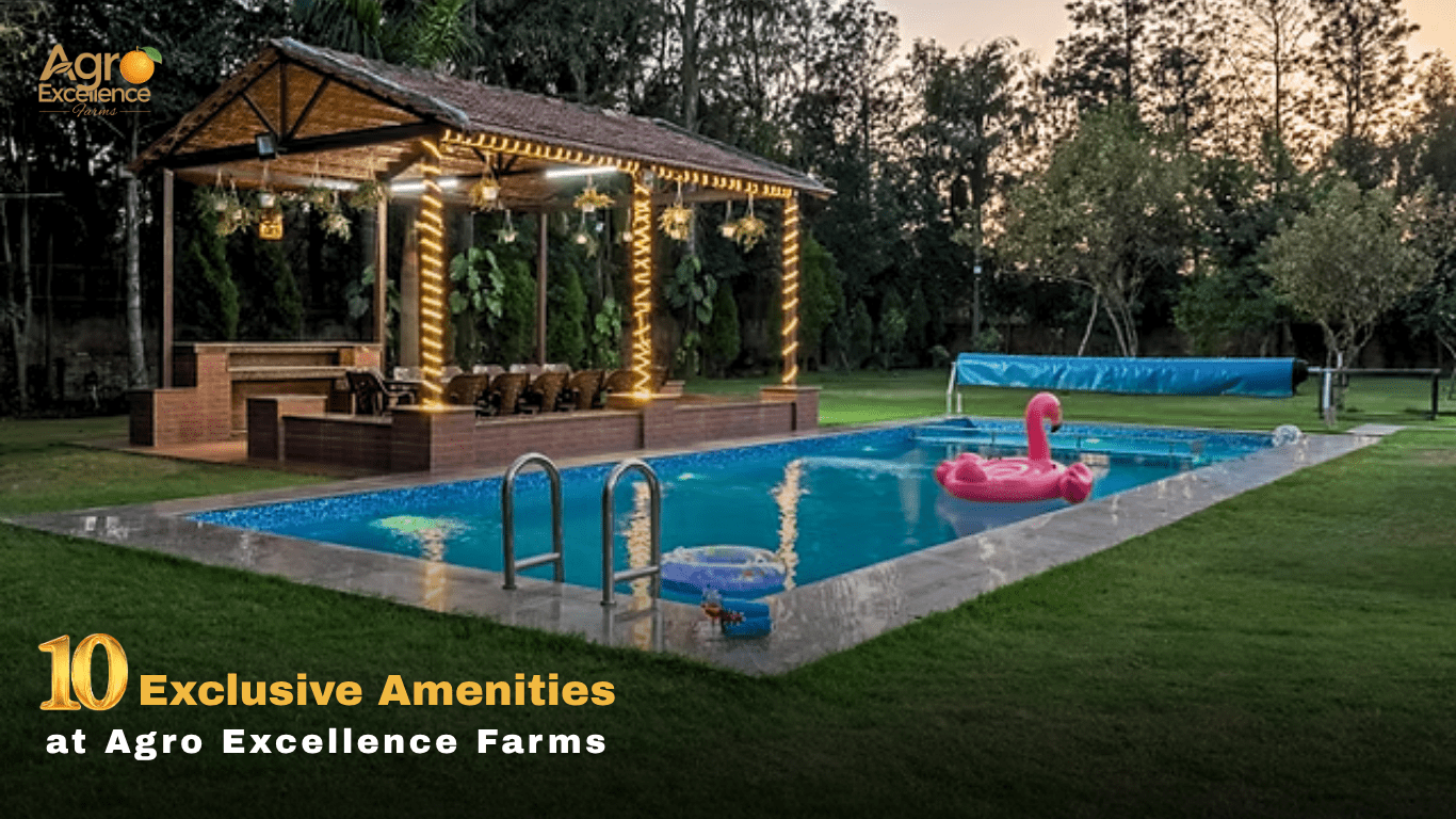 Top 10 Amenities in Agro Excellenece Farms