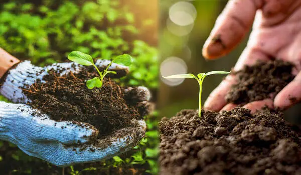 Complete Guide to Soil Testing