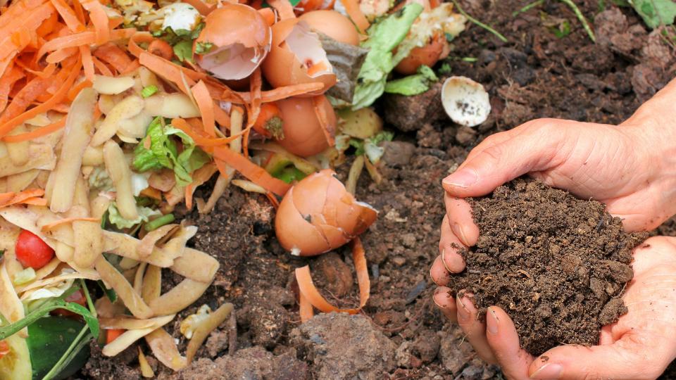 Turning Farm Waste Into Farm Gold