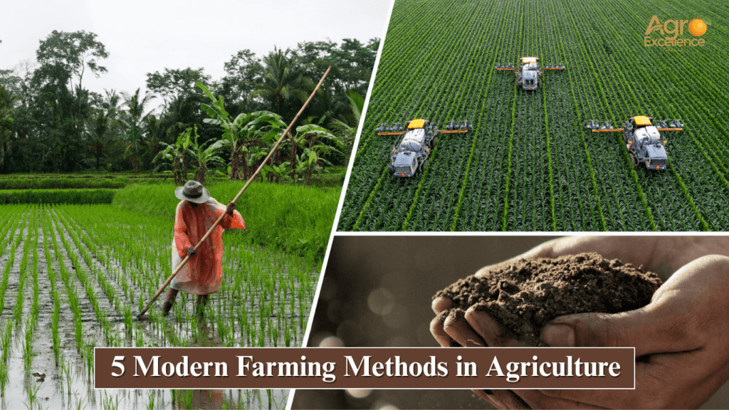 Top 5 Farming Methods Transforming Agriculture in 2026