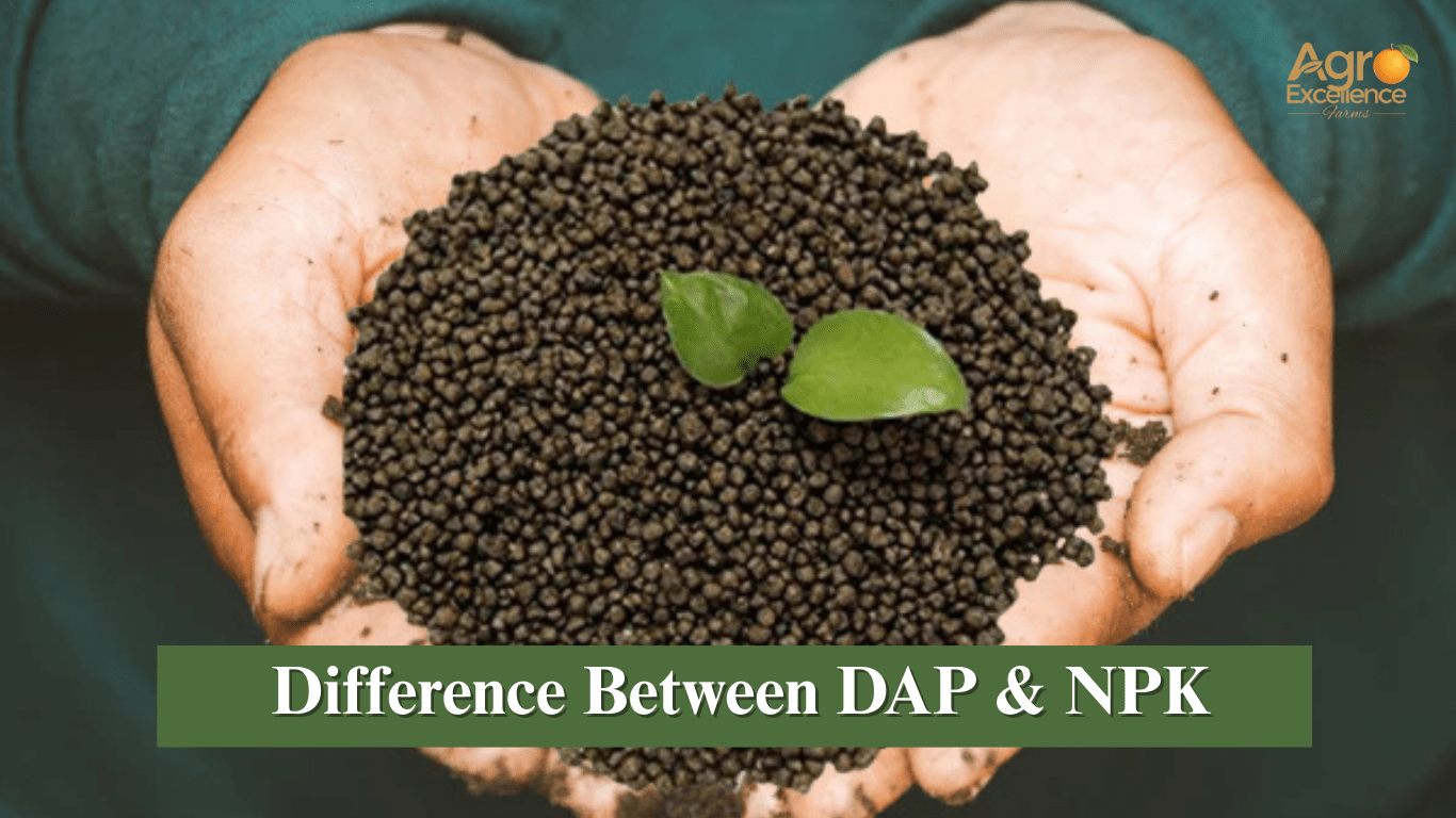 Difference between DPK and NPK Fertilizer