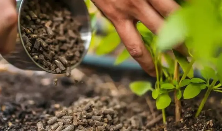 Biofertilizers for Healthier Soil: 7 Proven Benefits for Higher Yields (2026)