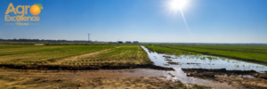Agro Excellence Farms success story PTV News
