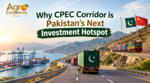 CPEC corridor