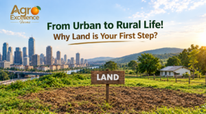 From urban to rural life