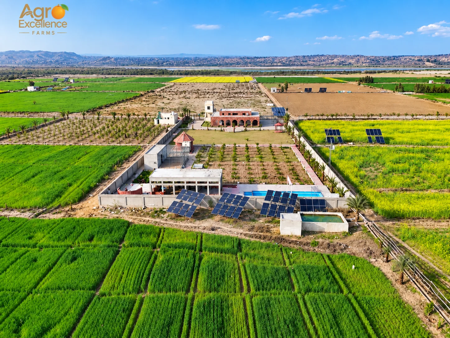 Farmland vs Gold in Pakistan (2)