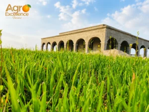 Raw Farmland Development Your First Year Roadmap